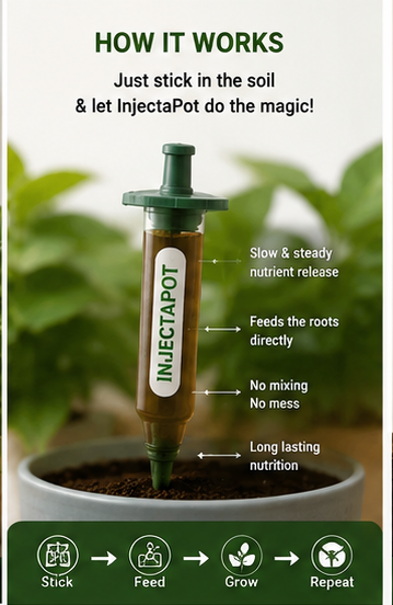InjectaPot Growing Solution | Indoor Plant Nutrient Feeder
