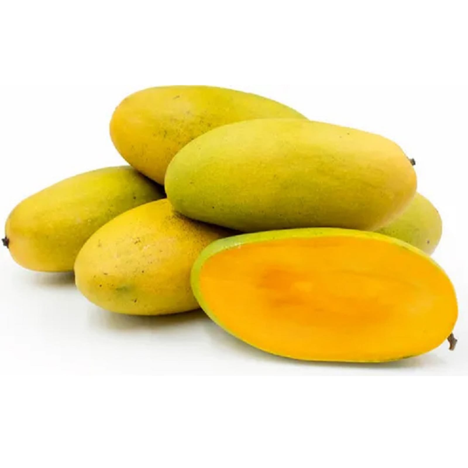 Dasheri Grafted Mango