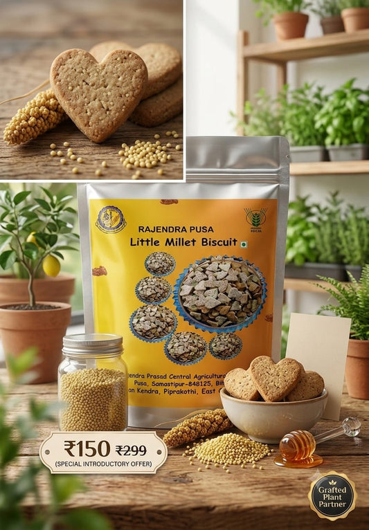 Little Millet Biscuit ( Hygiene) 100 Gm